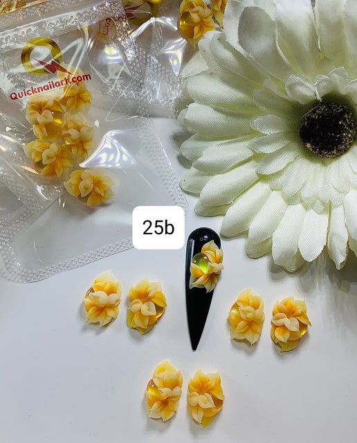 3D Flowers Handmade Acrylic
