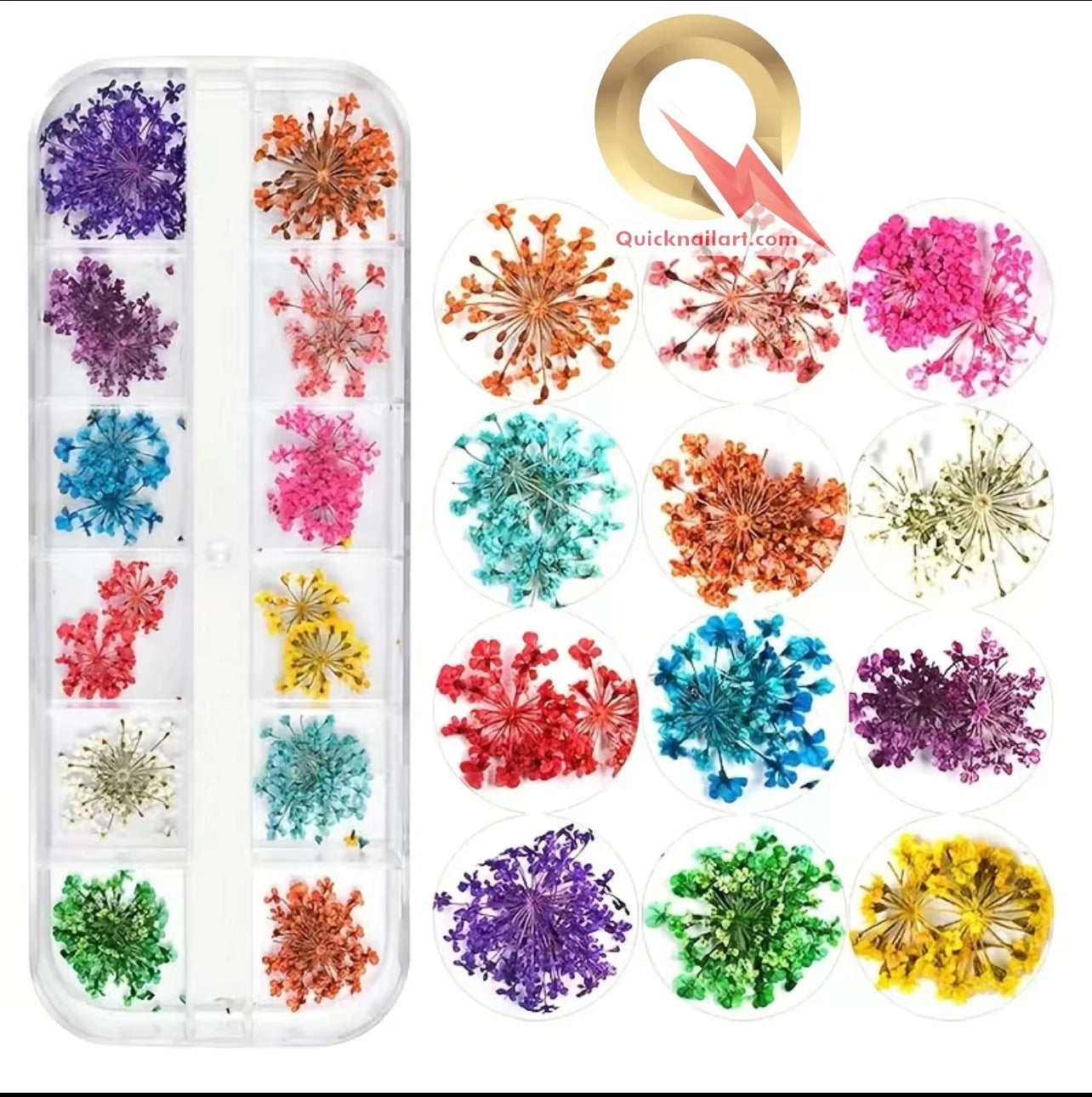 3D Natural Dried Flower