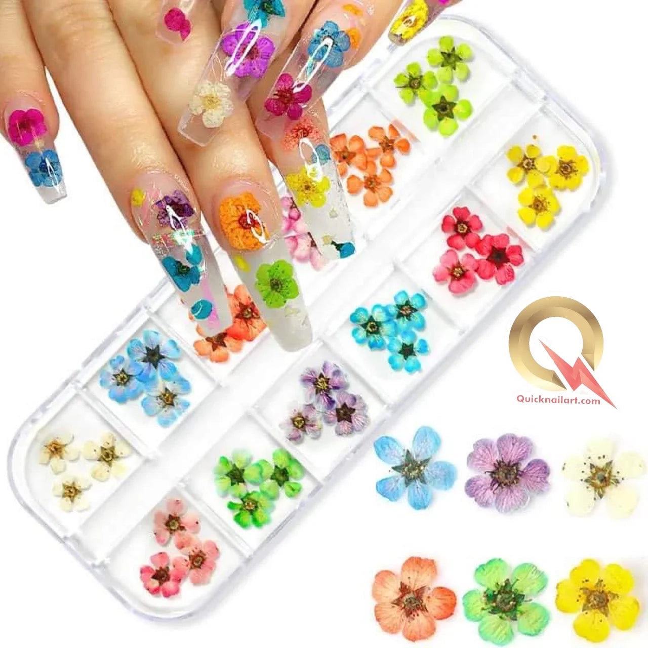 3D Natural Dried Flower